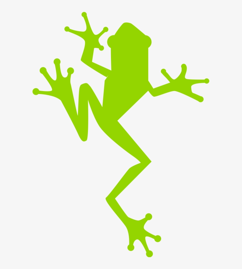 Etf Frog Green - Frog, transparent png