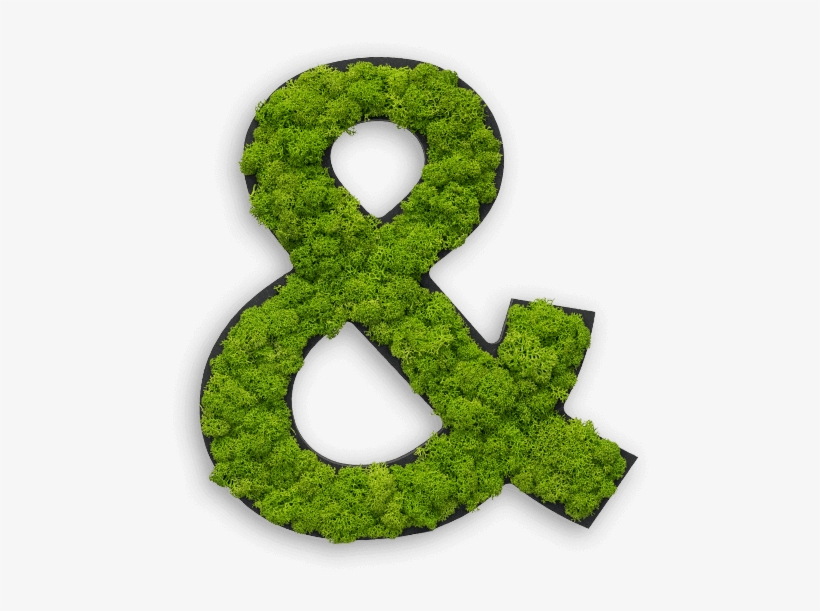 P Moss Letter Png, transparent png