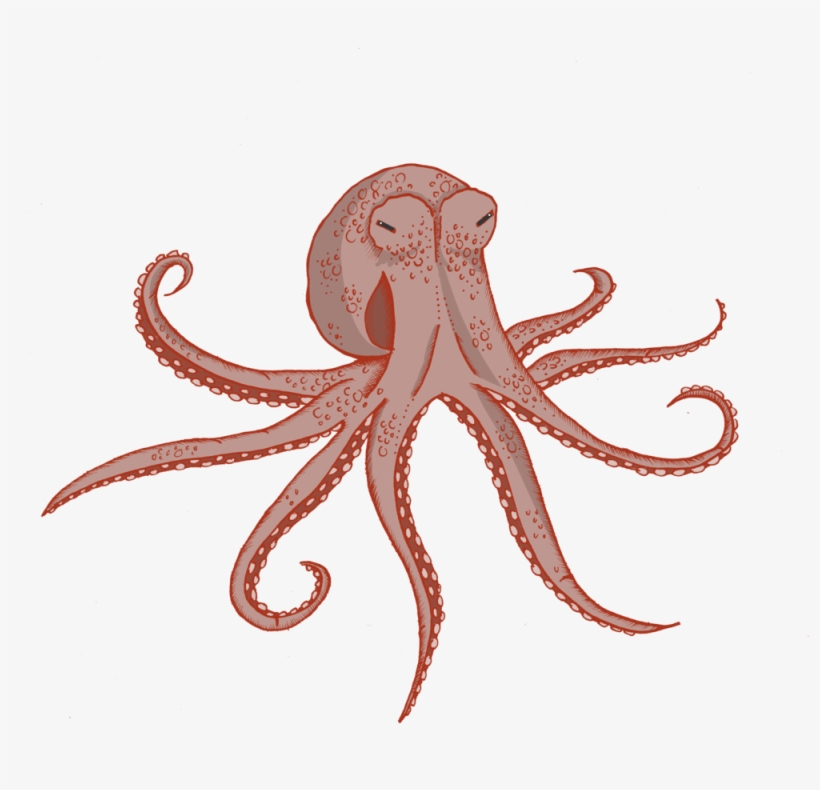 Octopus - Portable Network Graphics, transparent png