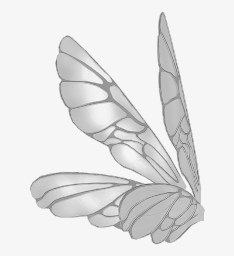 Wings Butterflywings Butterfly Fairy Fairywings - Fairy Wings, transparent png