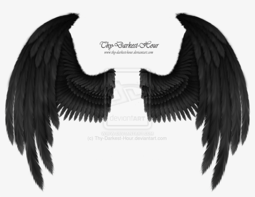Ailes De Demon Png - Black Raven Wings Png, transparent png