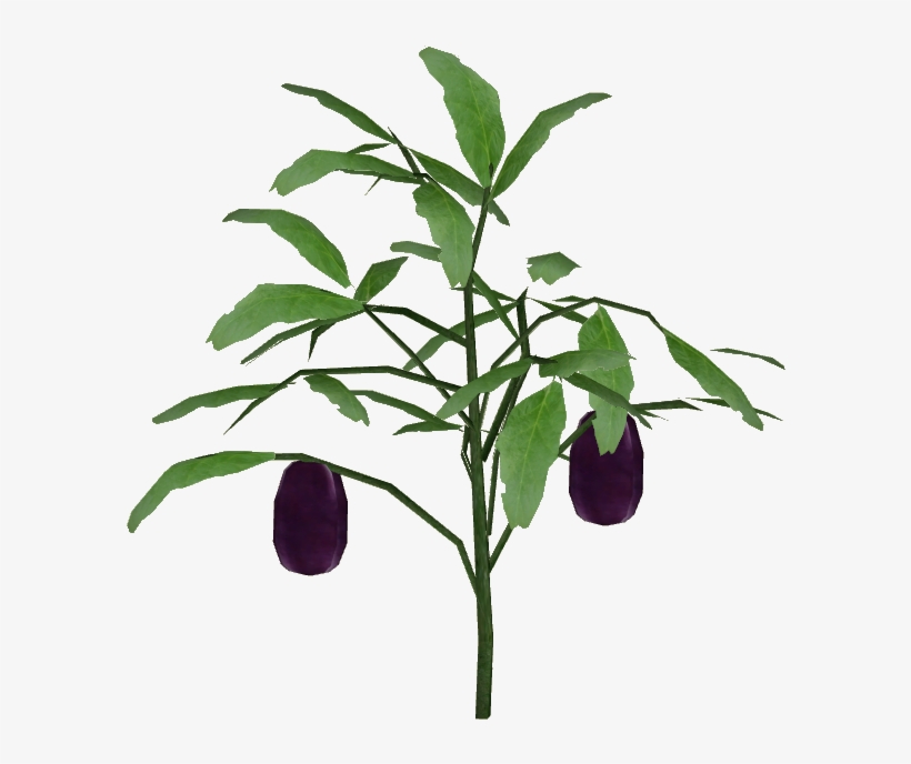 Eggplant - Wiki, transparent png