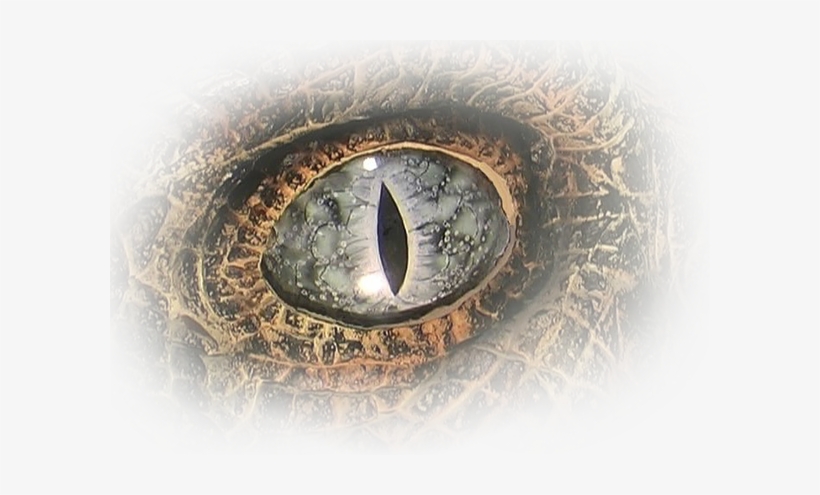 Agility, Speed, Raw Power, Ferocity Features That Are, transparent png