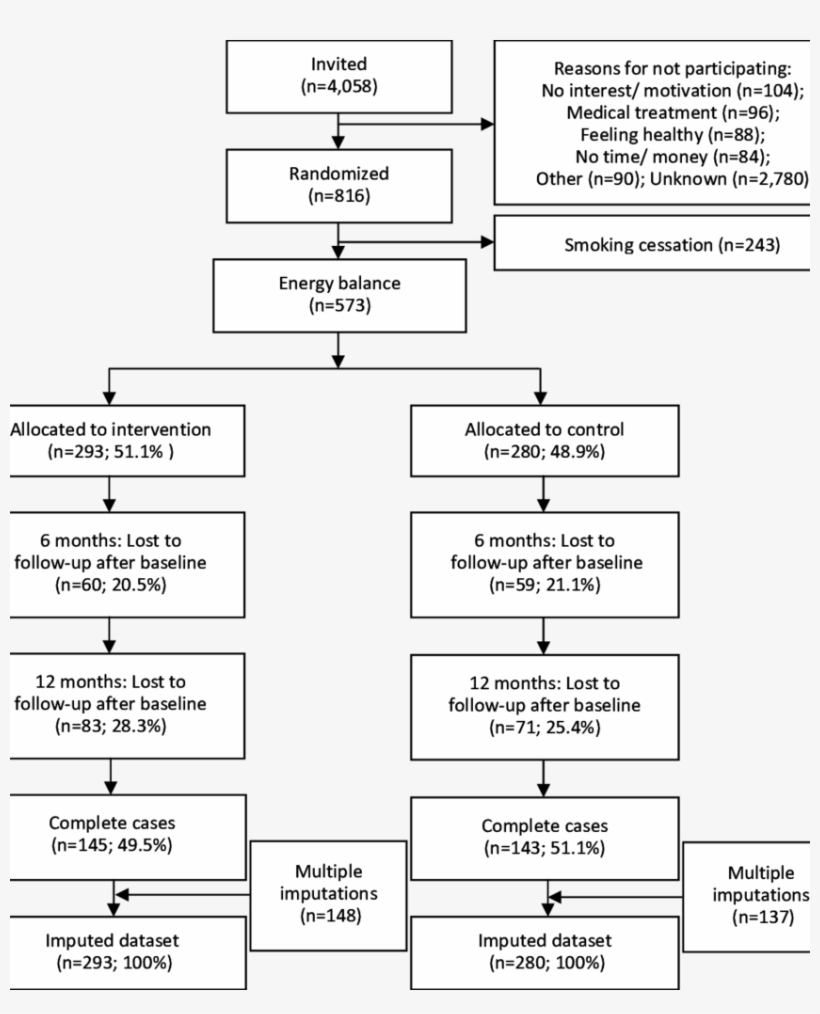 Flow Diagram Through The Phases Of The Health Under - Number, transparent png