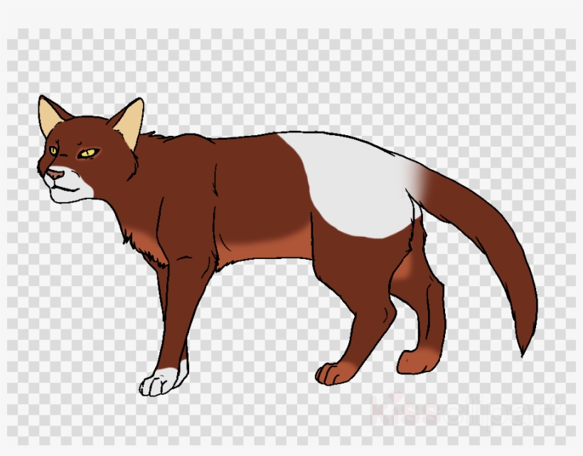 Black Cat With Yellow Eyes Png Clipart Havana Brown - Texas Transparent Background, transparent png