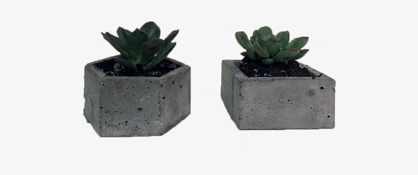 Succulent Large Hex Pot Set - Flowerpot, transparent png