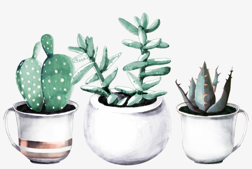 Books - Tropical Fabric - Cactuses In Pots - Green Custom Fabric, transparent png