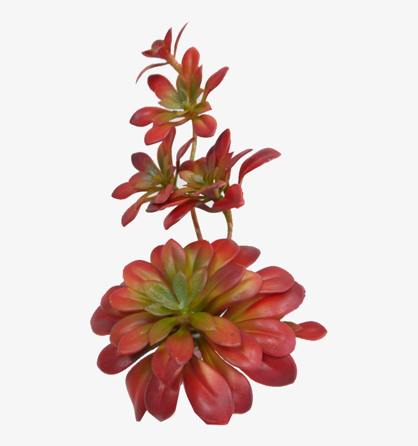 Sun Kissed Succulent Pick - Artificial Flower, transparent png
