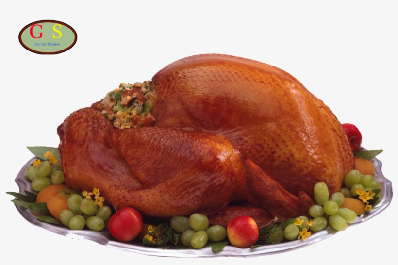 Kalkoen 3, Kalkoen - Mystery Science Theater 3000 Thanksgiving, transparent png
