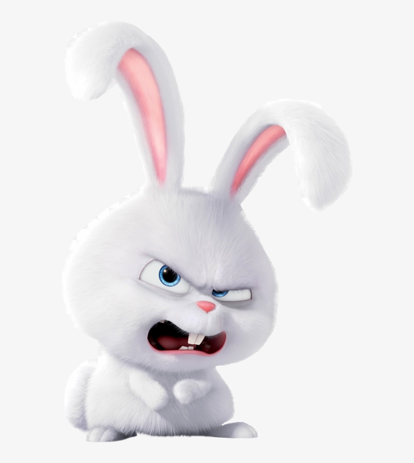 Report Abuse - Rabbit On Secret Life Of Pets Name, transparent png
