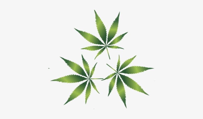 Legalize Cannabis - Thc Molecular Structure And Cannabis Leaf - 2-sided, transparent png