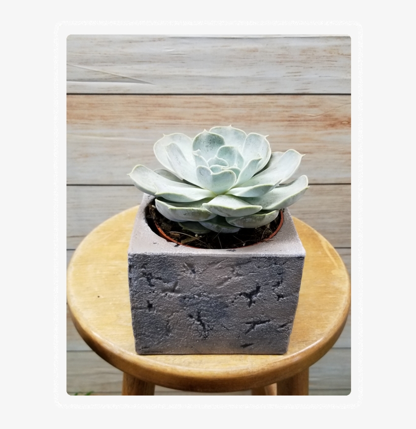 Ceramic, transparent png