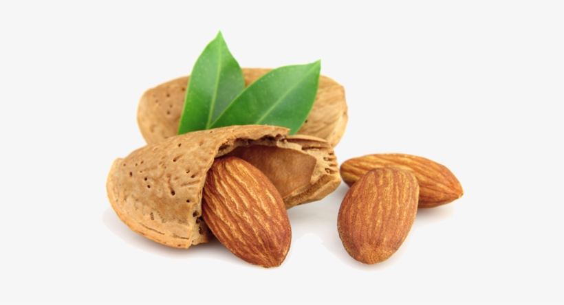 Almond Nut, transparent png
