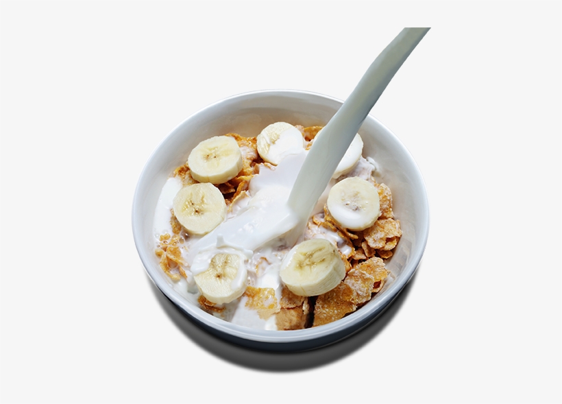Breakfast Brigade Map - Meal, transparent png