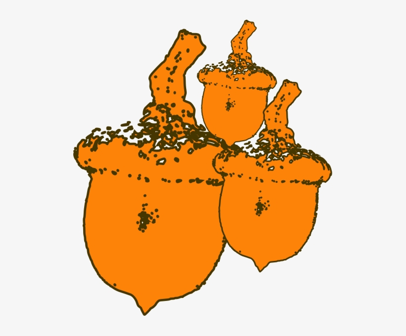 Nuts Png Images 523 X - Animated Nuts, transparent png