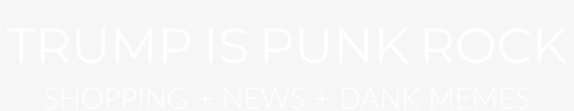 Trump Is Punk Rock - Playstation White Logo Png, transparent png