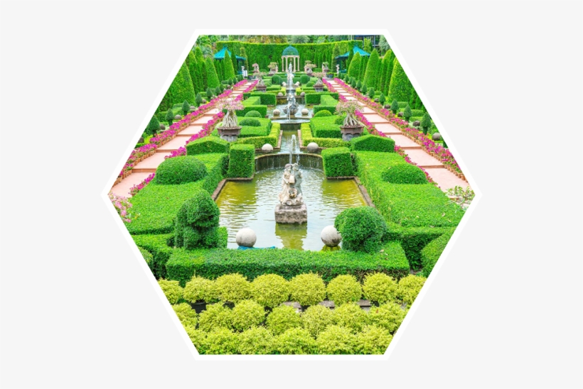 One Of The Most Beautiful Garden In The World - Nong Nooch Tropical Botanical Garden, transparent png