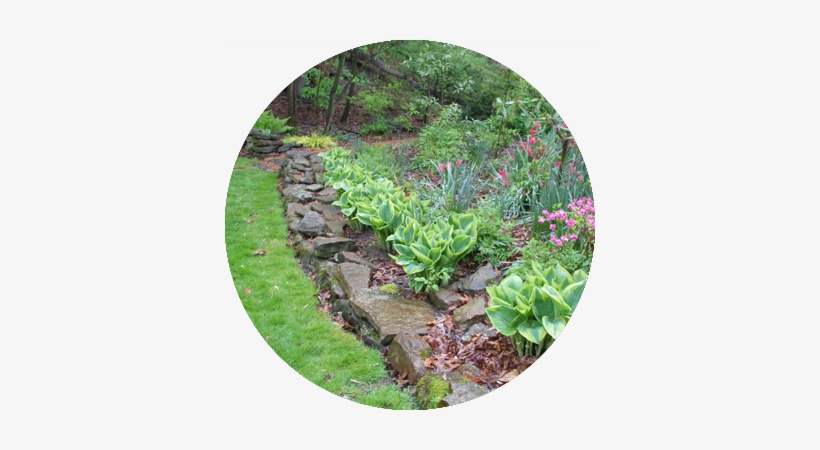 Gardens - Mission Oaks Gardens, transparent png