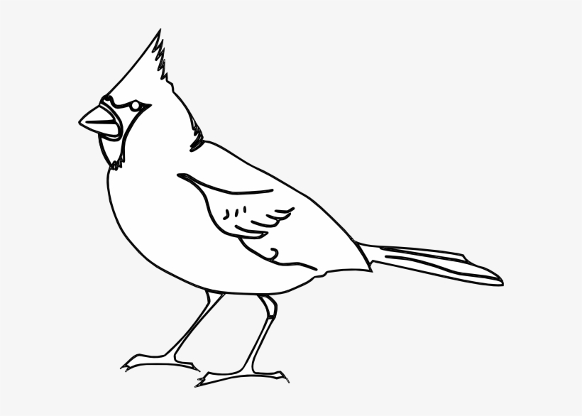 Small - Cardinal Bird Black And White Vector, transparent png