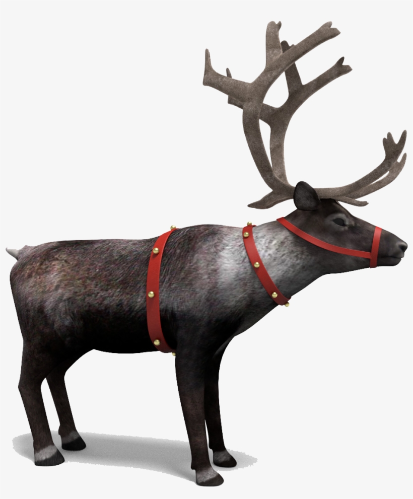 Reindeer Png Picture - Reindeer Png, transparent png