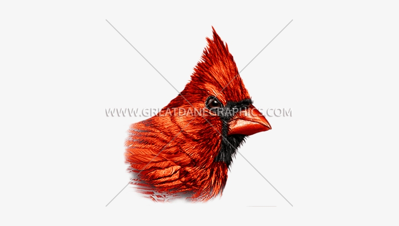 Cardinal - Mug, transparent png