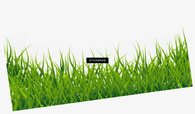 Field - Portable Network Graphics, transparent png