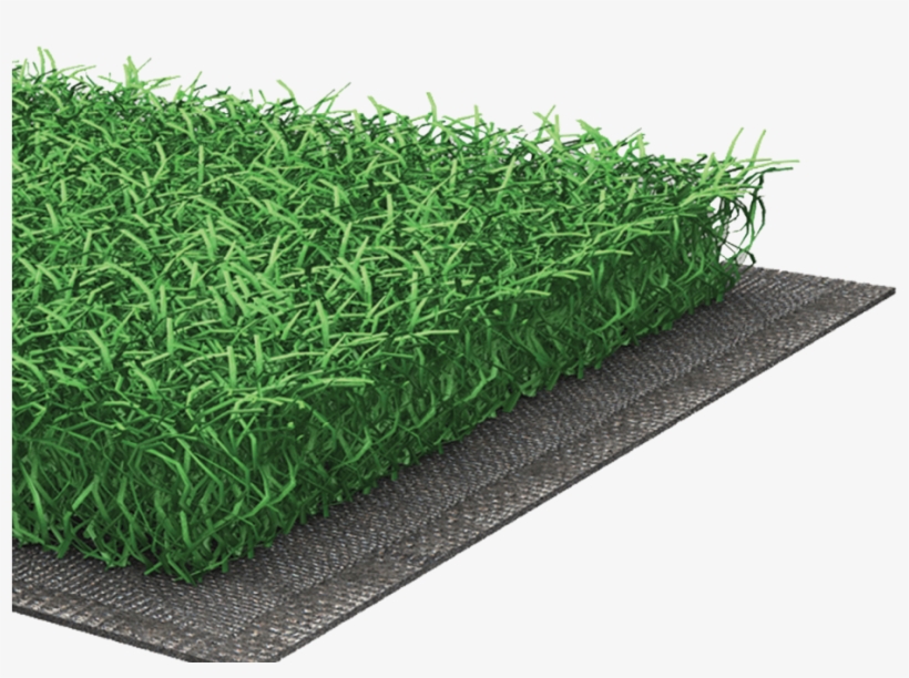 Our Hockey Gold Product Is A Revolutionary Turf System - Field Hockey, transparent png