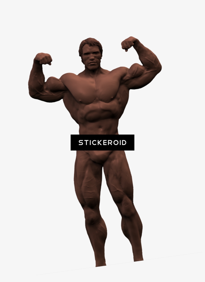 Arnold Schwarzenegger - Energia De Los Alimentos, transparent png