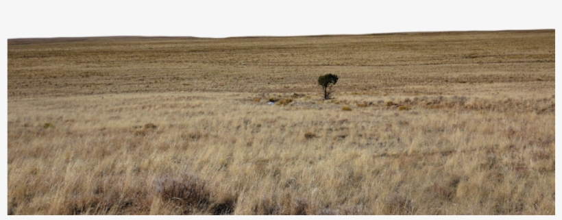 Landscape Png Hd - Tse:mrd, transparent png
