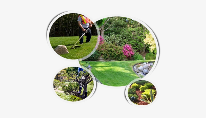 Landscaping - Gearxs 4-in-1 Garden Weather Station, transparent png