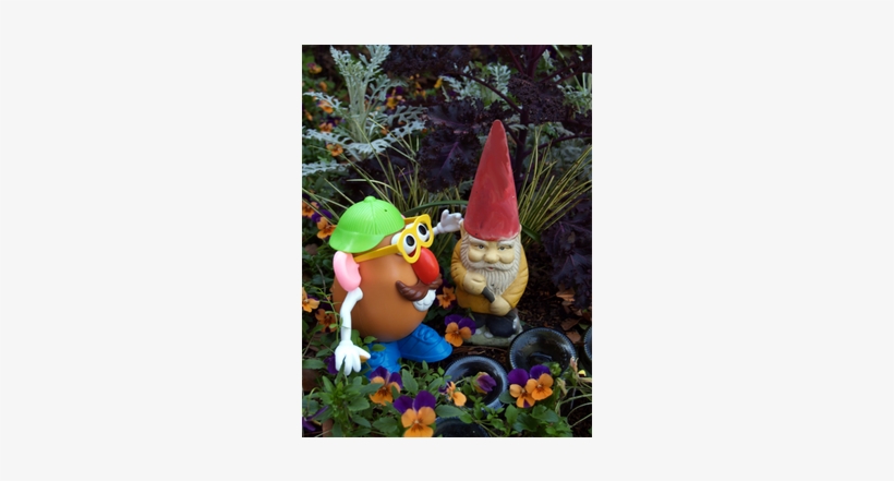 Posted By Felder Rushing On Aug 22, 2014 At - Animal Figure, transparent png