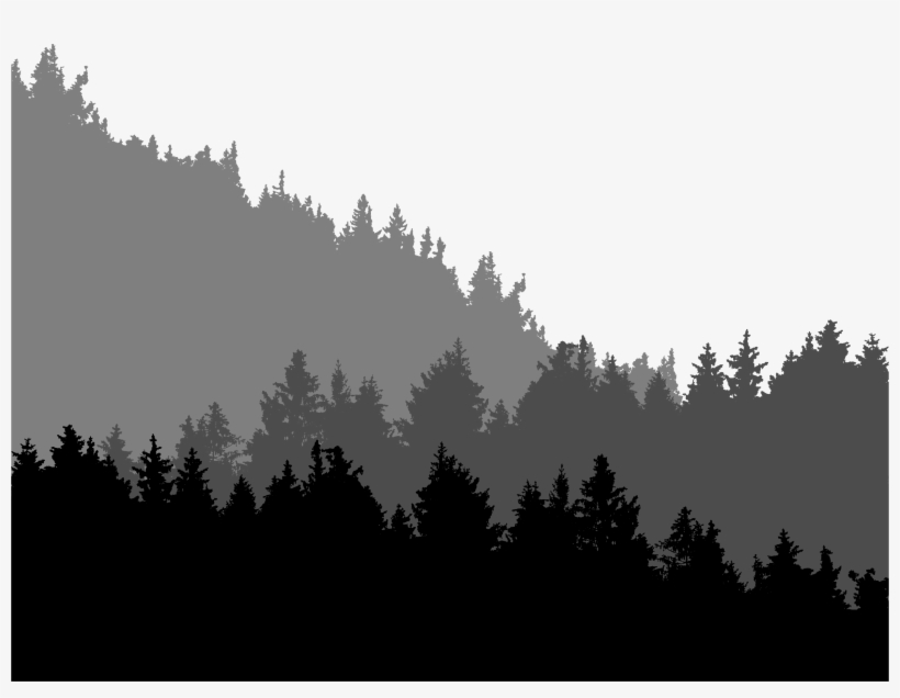 Big Image - Spruce-fir Forest, transparent png