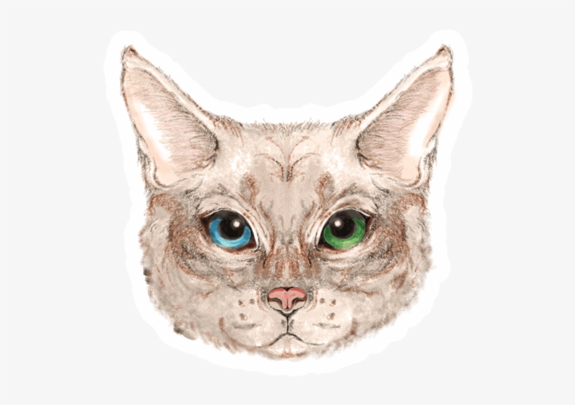 Cat Head Sticker - Cat, transparent png