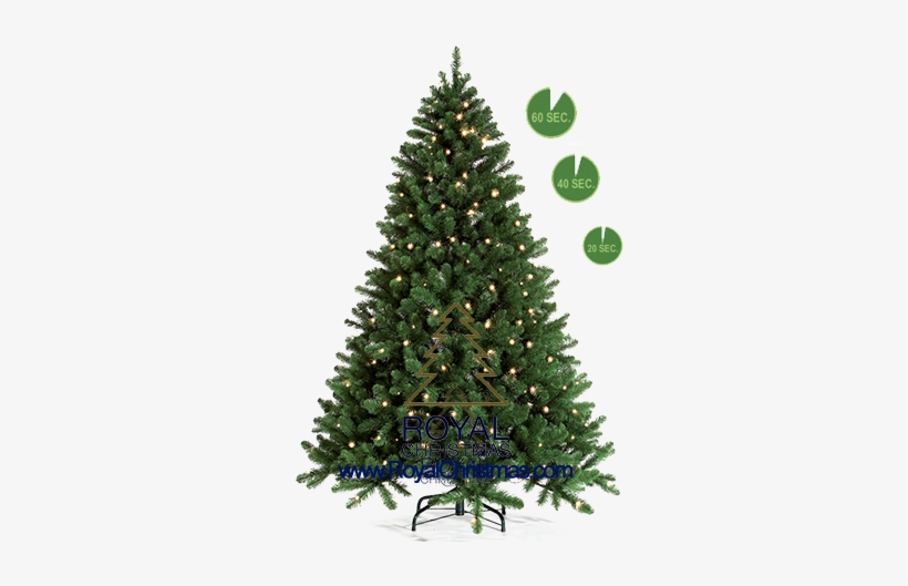 1 Minute Tree Line - Christmas Tree, transparent png