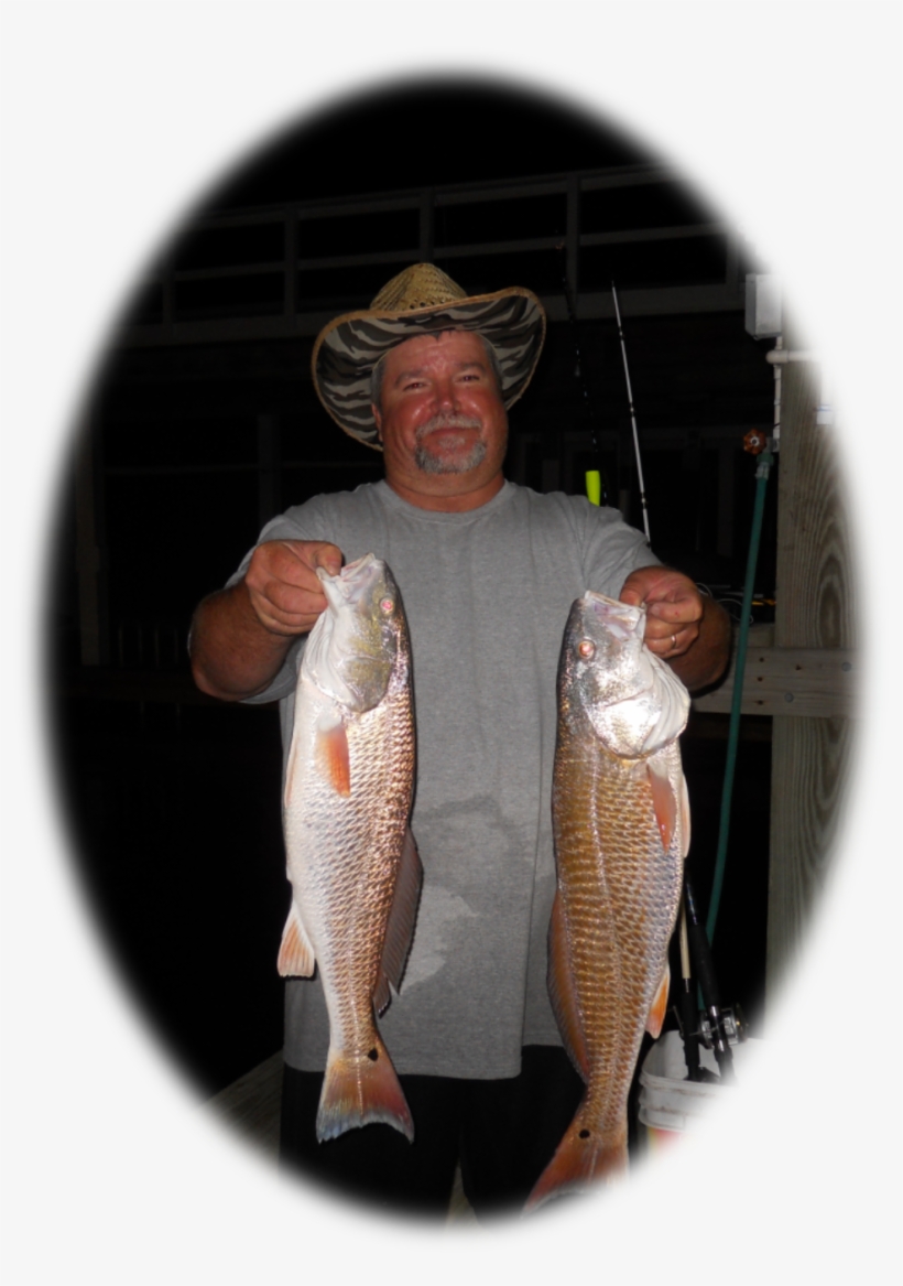Larry Roden Obit Photo - Coregonus Lavaretus, transparent png