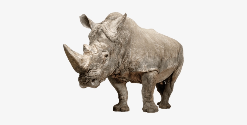 Png Stickpng - Super Grow Eggs Png, transparent png