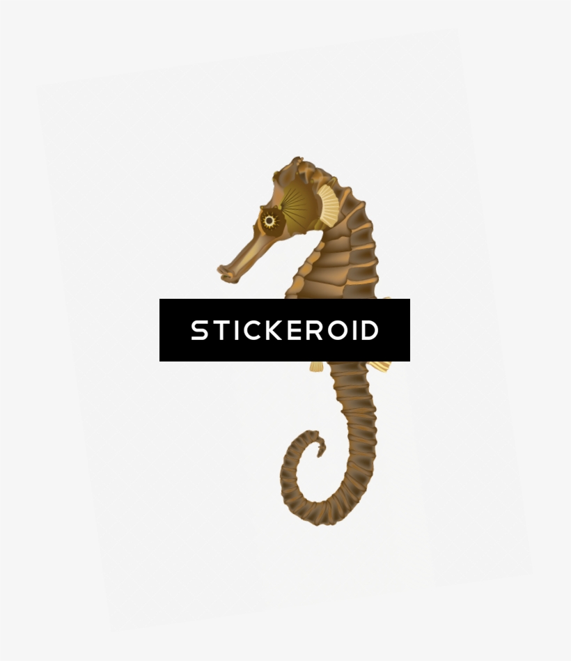 Seahorse - Northern Seahorse, transparent png