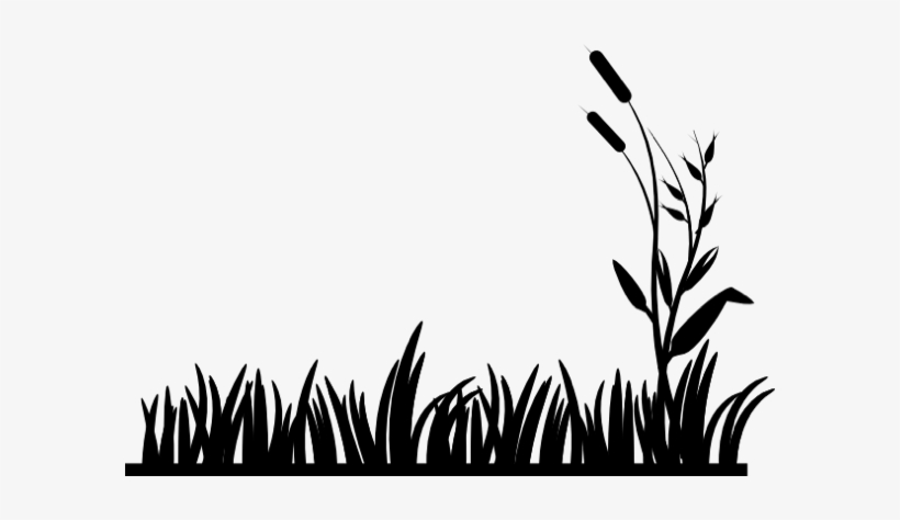 'the Chesapeake Bay Retriever Should Show A Bright - 24" X 36" Custom Coroplast Yard Sign, transparent png