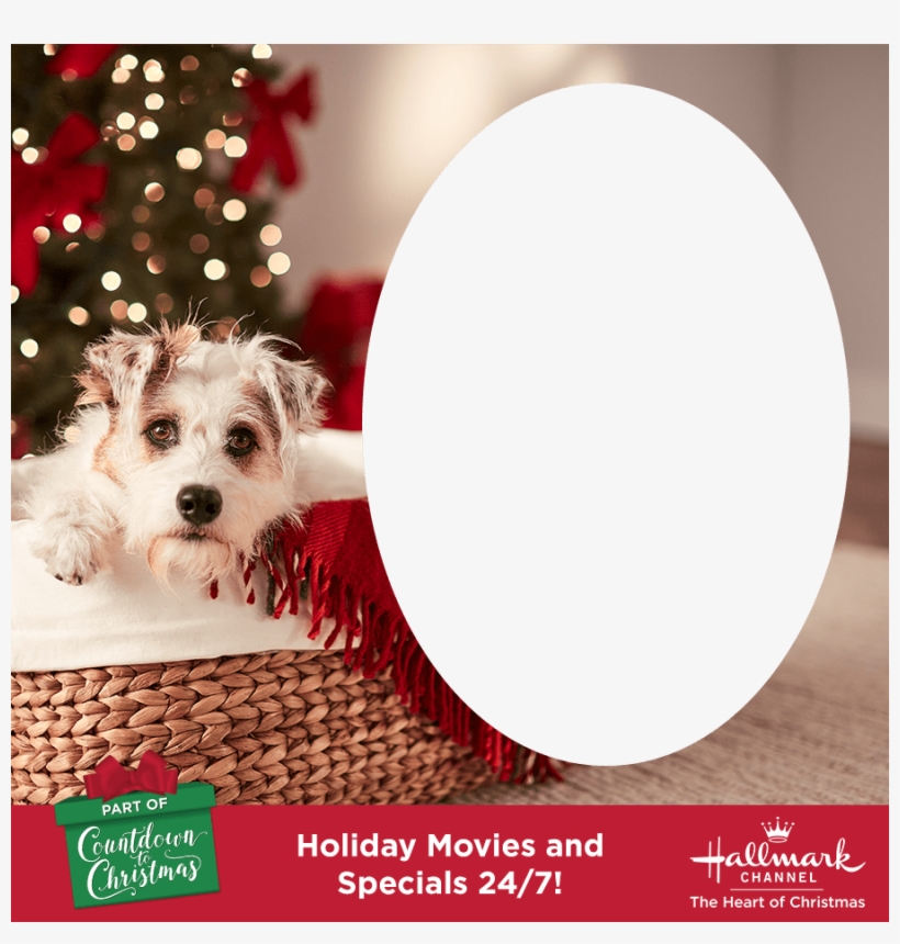 Option - Companion Dog, transparent png