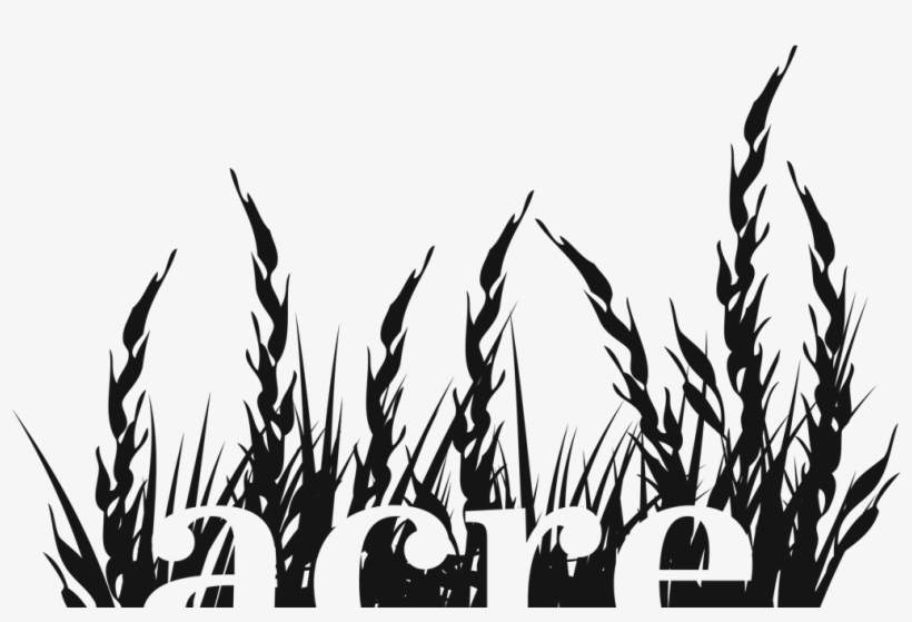 Announcing Acre Books - Acre Books, transparent png