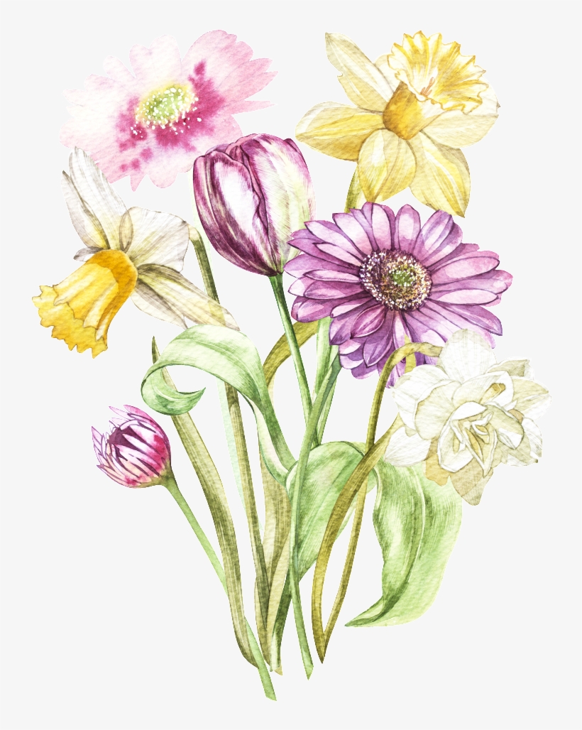 Colorful Hand Drawn Daisy Flower Transparent - Illustration, transparent png