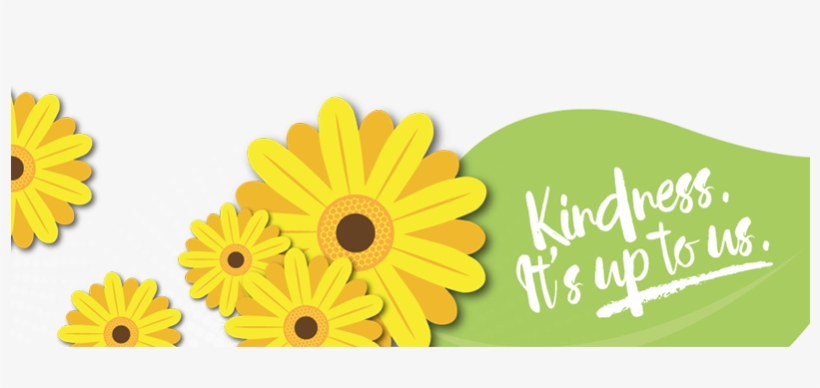 2-2x - African Daisy, transparent png