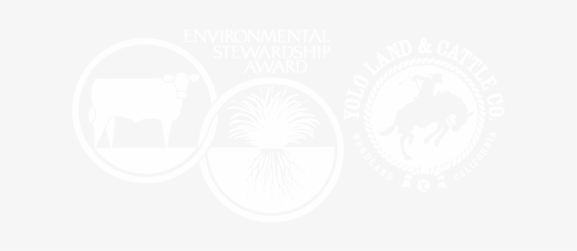 2007 National Winner - Cattle, transparent png