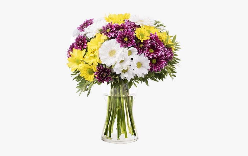 Mixed Daisies - Oxeye Daisy, transparent png