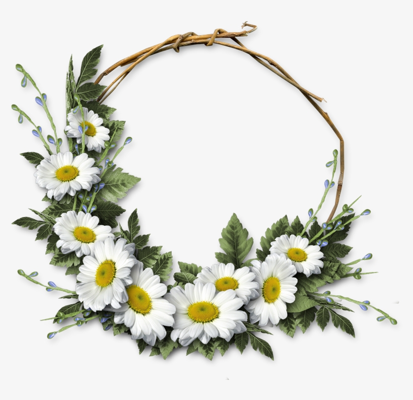 Cheyokota Digital Scraps - Daisies Png Frame, transparent png