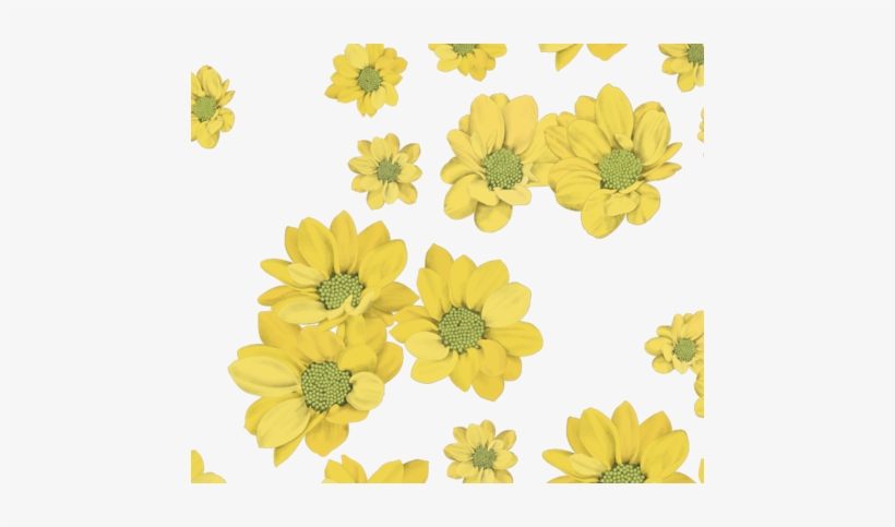 Yellow Daisies On White Fabric By Daniwilliams On Spoonflower - African Daisy, transparent png
