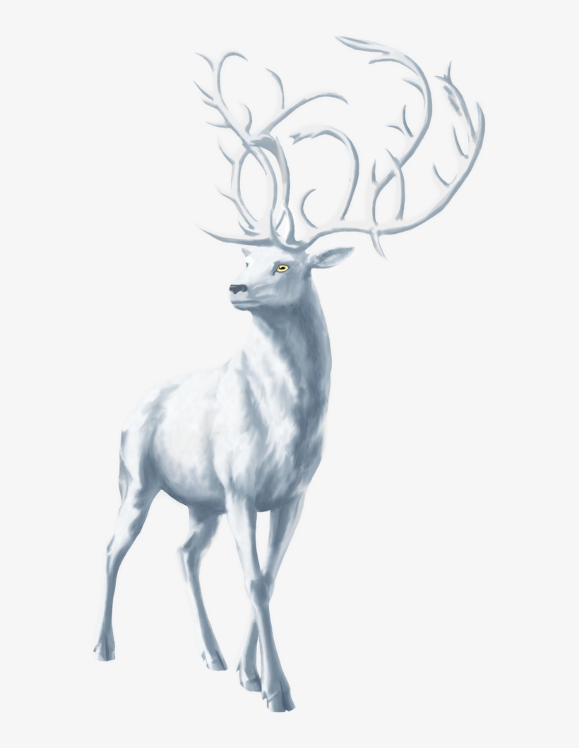 Elk, transparent png