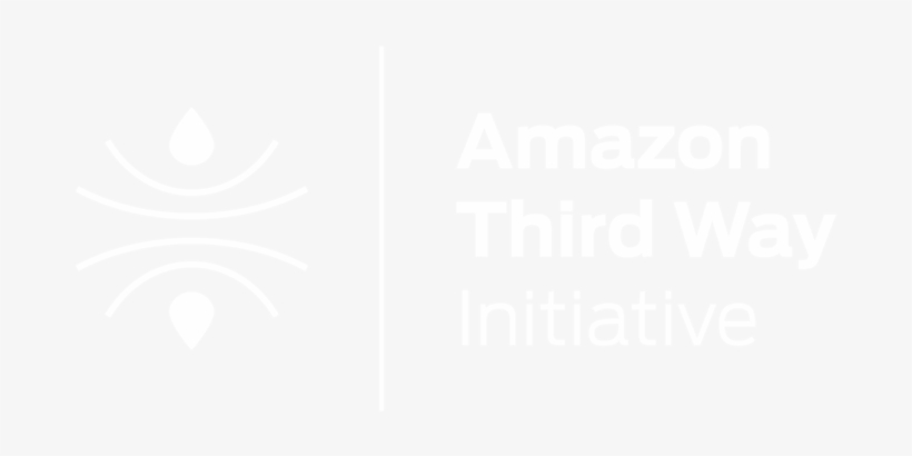 Amazonthirdwayinitiative - Ps4 Logo White Transparent, transparent png
