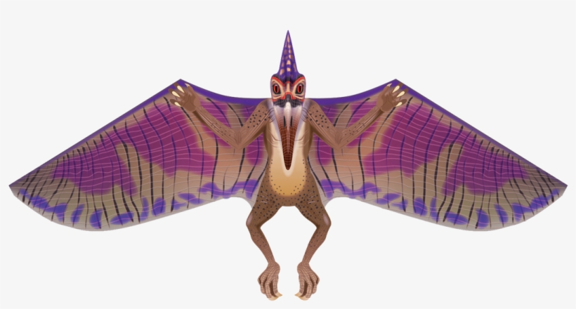 64" Pterodactyl Kite - Brainstorm Wns Dinosoars 31x64 Nylon Pterodactyl Kite, transparent png
