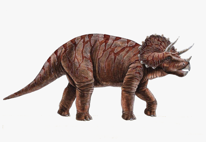 Dinosaur Png - Fantastic Facts About Dinosaurs, transparent png